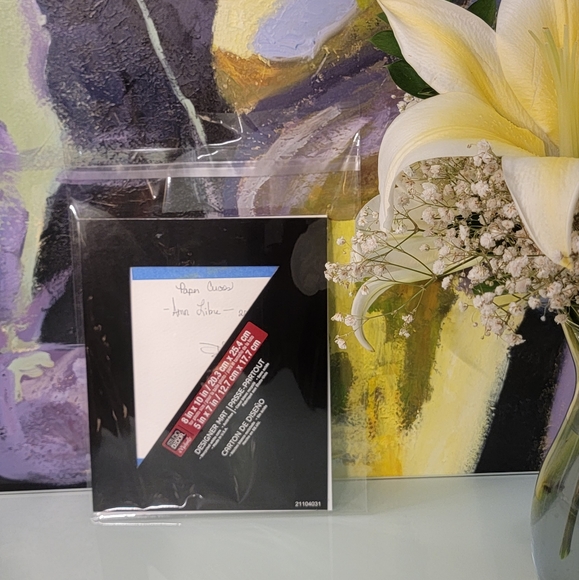 Original Watercolor Parrot Painting Bird Art - Picture 7 of 10